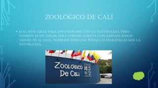 ZOOLÓGICO DE CALI 
•es el sitio ideal para encontrarse con la naturaleza, pero también es un lugar para cuidar. Cuenta con amplias zonas verdes, en el cual podemos apreciar todas las maravillas que la naturaleza.  