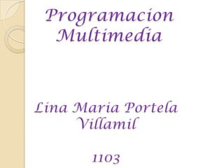 Programacion Multimedia Lina MariaPortela Villamil 1103 