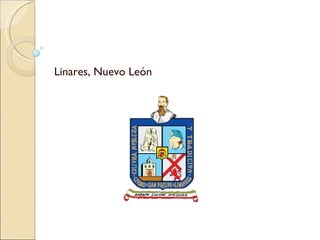 Linares, Nuevo León 