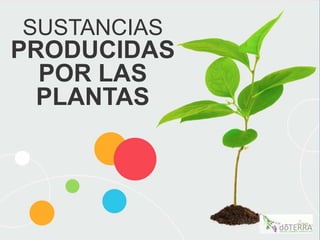 SUSTANCIAS
PRODUCIDAS
POR LAS
PLANTAS
 