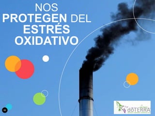 98
NOS
PROTEGEN DEL
ESTRÉS
OXIDATIVO
 