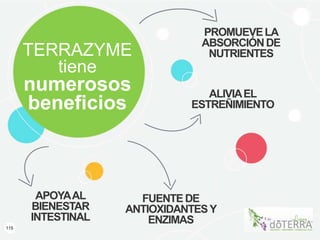 115
TERRAZYME
tiene
numerosos
beneficios
APOYAAL
BIENESTAR
INTESTINAL
PROMUEVELA
ABSORCIÓNDE
NUTRIENTES
FUENTEDE
ANTIOXIDANTESY
ENZIMAS
ALIVIAEL
ESTREÑIMIENTO
 