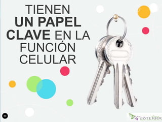 89
TIENEN
UN PAPEL
CLAVE EN LA
FUNCIÓN
CELULAR
 