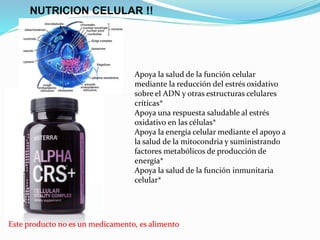 NUTRICION CELULAR !!
Este producto no es un medicamento, es alimento
Apoya la salud de la función celular
mediante la reducción del estrés oxidativo
sobre el ADN y otras estructuras celulares
críticas*
Apoya una respuesta saludable al estrés
oxidativo en las células*
Apoya la energía celular mediante el apoyo a
la salud de la mitocondria y suministrando
factores metabólicos de producción de
energía*
Apoya la salud de la función inmunitaria
celular*
 