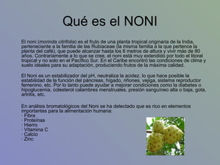 Qué es el NONI El noni ( morinda citrifolia ) es el fruto de una planta tropical originaria de la India, perteneciente a la familia de las Rubiaceae (la misma familia a la que pertence la planta del café), que puede alcanzar hasta los 6 metros de altura y vivir más de 80 años. Contrariamente a lo que se cree, el noni está muy extendido por todo el litoral tropical y no solo en el Pacífico Sur. En el Caribe encontró las condiciones de clima y suelo ideales para su adaptación, produciendo frutos de la máxima calidad. El Noni es un estabilizador del pH, neutraliza la acidez, lo que hace posible la estabilidad de la función del páncreas, hígado, riñones, vejiga, sistema reproductor femenino, etc. Por lo tanto puede ayudar a mejorar condiciones como la diabetes o hipoglucemia, colesterol calambres menstruales, presión sanguíneo alta o baja, gota, artritis, etc. En análisis bromatológicos del Noni se ha detectado que es rico en elementos importantes para la alimentación humana: · Fibra · Proteínas · Hierro · Vitamina C · Calcio · Zinc 