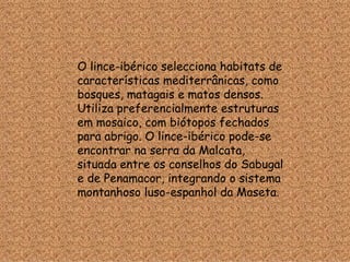 O lince-ibérico selecciona habitats de características mediterrânicas, como bosques, matagais e matos densos. Utiliza preferencialmente estruturas em mosaico, com biótopos fechados para abrigo. O lince-ibérico pode-se encontrar na serra da Malcata, situada entre os conselhos do Sabugal e de Penamacor, integrando o sistema montanhoso luso-espanhol da Maseta. 
