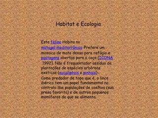 Habitat e Ecologia  Este  felino  Habita no  matagal mediterrânico   . Prefere um mosaico de mato denso para refúgio e  pastagens  abertas para a caça ( ICONA  1992). Não é frequentador assíduo de plantações de espécies arbóreas exóticas ( eucaliptais  e  pinhais ) . Como predador de topo que é, o lince ibérico tem um papel fundamental no controlo das populações de coelhos (sua presa favorita) e de outros pequenos mamíferos de que se alimenta. 