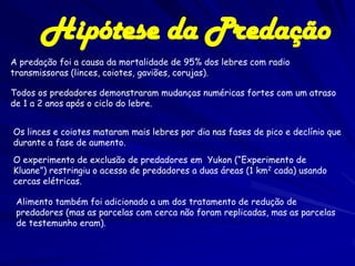 Hipótese da Predação
A predação foi a causa da mortalidade de 95% dos lebres com radio
transmissoras (linces, coiotes, gaviões, corujas).

Todos os predadores demonstraram mudanças numéricas fortes com um atraso
de 1 a 2 anos após o ciclo do lebre.


Os linces e coiotes mataram mais lebres por dia nas fases de pico e declínio que
durante a fase de aumento.
O experimento de exclusão de predadores em Yukon (“Experimento de
Kluane”) restringiu o acesso de predadores a duas áreas (1 km2 cada) usando
cercas elétricas.

 Alimento também foi adicionado a um dos tratamento de redução de
 predadores (mas as parcelas com cerca não foram replicadas, mas as parcelas
 de testemunho eram).
 