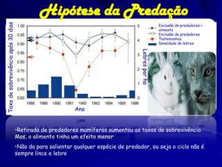 Taxa de sobrevivência após 30 dias            Hipótese da Predação
                                                                                                      Exclusão de predadores +
                                                                                                      alimento
                                                                                                      Exclusão de predadores
                                                                                                      Testemunhos
                                                                                                      Densidade de lebres




                                                                                      Lebres por ha
                                                            Ano


                                     •Retirada de predadores mamíferos aumentou as taxas de sobrevivência
                                     Mas, o alimento tinha um efeito menor
                                     •Não da para salientar qualquer espécie de predador, ou seja o ciclo não é
                                     sempre lince e lebre
 