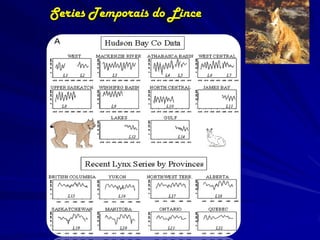 Series Temporais do Lince
 