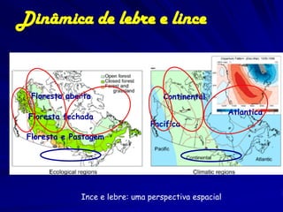 Dinâmica de lebre e lince


  Floresta aberta                   Continental
                                                       Atlantica
 Floresta fechada
                                Pacifica
 Floresta e Pastagem




              Ince e lebre: uma perspectiva espacial
 