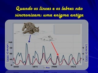 Quando os linces e os lebres não
                  sincronizam: uma enigma antiga
Lebres (x 1000)




                                                     Linces (x 1000)
                                Ano
 