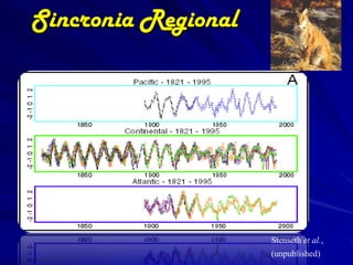 Sincronia Regional




                     Stenseth et al.,
                     (unpublished)
 