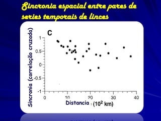 Sincronia espacial entre pares de
series temporais de linces
 Sincronia (correlação cruzada)




                                  Distancia
 
