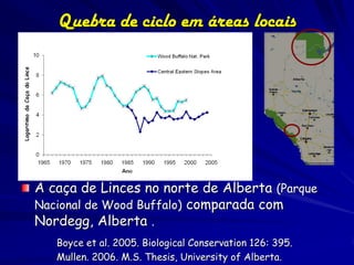 Quebra de ciclo em áreas locais




A caça de Linces no norte de Alberta (Parque
Nacional de Wood Buffalo) comparada com
Nordegg, Alberta .
   Boyce et al. 2005. Biological Conservation 126: 395.
   Mullen. 2006. M.S. Thesis, University of Alberta.
 