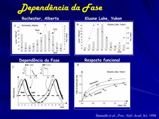 Dependência da Fase
 Rochester, Alberta   Kluane Lake, Yukon




Dependência da Fase   Resposta funcional




                           Stenseth et al., Proc. Natl. Acad. Sci. 1998
 