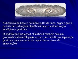 A dinâmica do lince e do lebre visto do lince, sugere que o
padrão de flutuações climáticas leva a estruturação
ecológica e genética.
O padrão de flutuações climáticas também cria um
gradiente ambiental quase crítico que resulta na separação
genética (um processo de importância chave da
especiação).
 