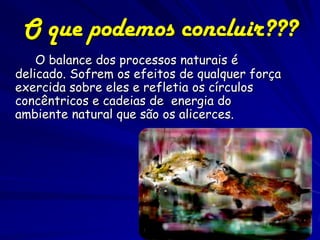 O que podemos concluir???
    O balance dos processos naturais é
delicado. Sofrem os efeitos de qualquer força
exercida sobre eles e refletia os círculos
concêntricos e cadeias de energia do
ambiente natural que são os alicerces.
 