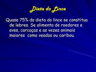 Dieta do Lince
Quase 75% da dieta do lince se constitua
 de lebres. Se alimenta de roedores e
 aves, carcaças e as vezes animais
 maiores como veados ou caribou.
 