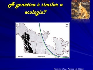 A genética é similar a
     ecologia?




                  Rueness et al., Nature (in press)
 