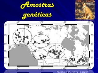 Amostras
genéticas




            Rueness et al., Nature (in press)
 