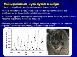 Ciclos populacionais— o gral sagrado da ecologia
•Historia comprida da pesquisa sem consenso dos mecanismos
•Meta é entender os ciclos populacionais para ter mais conhecimento aos
problemas gerais da regulação e dinâmica populacional.
•O bispo de Uppsala, Suécia publicou dois registros sobre as flutuações cíclicas de
roedores pequenas na metade do século 16.

•No começo do século de 1900, os biólogos analisaram os registros do comercio
de peles da Hudson’s Bay Company, incluindo aqueles do lince
    Número de linces (X 1000)




                                Ano
 