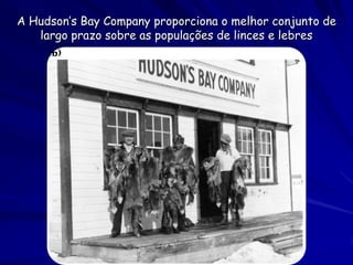 A Hudson’s Bay Company proporciona o melhor conjunto de
   largo prazo sobre as populações de linces e lebres
 