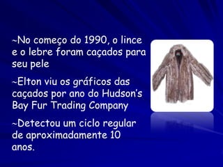 No começo do 1990, o lince
e o lebre foram caçados para
seu pele
Elton viu os gráficos das
caçados por ano do Hudson’s
Bay Fur Trading Company
Detectou um ciclo regular
de aproximadamente 10
anos.
 