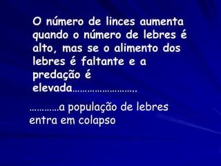 O número de linces aumenta
quando o número de lebres é
alto, mas se o alimento dos
lebres é faltante e a
predação é
elevada……………………..
…………a população de lebres
entra em colapso
 