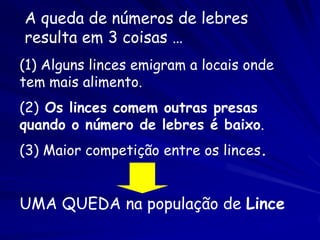 A queda de números de lebres
resulta em 3 coisas …
(1) Alguns linces emigram a locais onde
tem mais alimento.
(2) Os linces comem outras presas
quando o número de lebres é baixo.
(3) Maior competição entre os linces.


UMA QUEDA na população de Lince
 