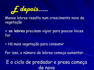 E depois…..
Menos lebres resulta num crescimento novo da
vegetação

+ os lebres precisam vigiar para poucos linces
for

+ Há mais vegetação para consumir

Por isso, o número de lebres começa aumentar

E o ciclo de predador e presa começa
               de novo
 