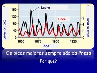 Lebre


                                      Lince




                                              Linces (X 1000)
Lebres (X 1000)




                            Ano

             Os picos maiores sempre são da Presa
                           Por que?
 