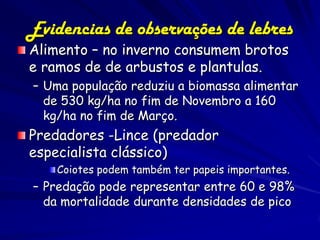 Evidencias de observações de lebres
Alimento – no inverno consumem brotos
e ramos de de arbustos e plantulas.
– Uma população reduziu a biomassa alimentar
  de 530 kg/ha no fim de Novembro a 160
  kg/ha no fim de Março.
Predadores -Lince (predador
especialista clássico)
   Coiotes podem também ter papeis importantes.
– Predação pode representar entre 60 e 98%
  da mortalidade durante densidades de pico
 
