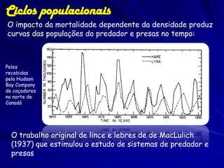 Ciclos populacionais
O impacto da mortalidade dependente da densidade produz
curvas das populações do predador e presas no tempo:



Peles
recebidas
pela Hudson
Bay Company
de caçadores
no norte de
Canadá




  O trabalho original de lince e lebres de de MacLulich
  (1937) que estimulou o estudo de sistemas de predador e
  presas
 