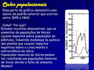 Ciclos populacionais
 Essa parte do gráfico demonstra uma
 desvio do padrão anterior que ocorreu
 entre 1845 e 1860.                        Hare
                                           Lynx
 Como? Por que?
Estudos recentes demonstram que os
aumentos de populações de lebres           ?      ?

causam impactos sobre populações de
plântulas, induzindo mudanças na química
das plantas que causam impactos
negativos sobre o crescimento e
sobrevivência do lebre.
Populações menores de lebres podem
ter resultando em populações menores
de linces devido a falta de alimento.
Mesmo?
 