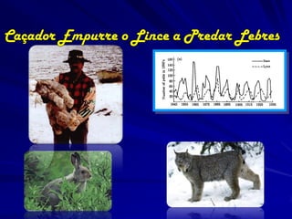 Bo Deng
February 2006
    UNL
 