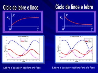 K                                     K
  K0                                    K0


    0                      T              0                       T




Lebre e caçador oscilam em fase   Lebre e caçador oscilam fora de fase
 