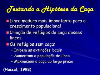 Testando a Hipótese da Caça
   Lince maduro mais importante para o
   crescimento populacional
   Criação de refúgios da caça desses
   linces
   Os refúgios sem caça:
   – Inibem as extinções locais
   – Aumentam a população de lince
   – Maximizam a caça ao largo prazo

(Hassel, 1998)
 