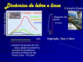 Dinâmica de lebre e lince                                       O projeto Kluane
                                  (-predação, + alimento)
Densidade de lebres




                                           (-predação)           • Resposta não
                                           (+alimento)           aditiva
                                               (controle)         10 vezes




                                                  ano       Vegetação, lince e lebre

                      • aumento do periodo do ciclo
                         … mas a adição de alimento e
                        exclusão de predadores
                        preveniu os lebres de não
                        terem ciclos. – Por que?
 