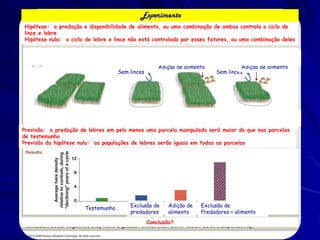 Experimento
Hipótese: a predação e disponibilidade de alimento, ou uma combinação de ambas controla o ciclo de
lince e lebre
Hipótese nula: o ciclo de lebre e lince não está controlado por esses fatores, ou uma combinação deles




                                                     Adição de alimento             Adição de alimento
                                    Sem linces                            Sem linces




Previsão: a predação de lebres em pelo menos uma parcela manipulada será maior do que nas parcelas
de testemunho
Previsão da hipótese nula: as populações de lebres serão iguais em todas as parcelas




                       Testemunho       Exclusão de      Adição de   Exclusão de
                                        predadores       alimento    Predadores + alimento
                                                 Conclusão?
 