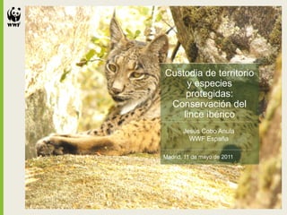 Custodia de territorio
     y especies
     protegidas:
 Conservación del
    lince ibérico
       Jesús Cobo Anula
         WWF España

Madrid, 11 de mayo de 2011
 