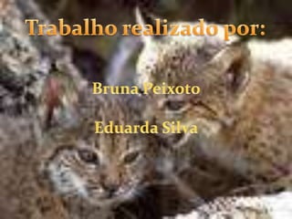 Trabalho realizado por:Bruna PeixotoEduarda Silva