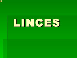LINCES 