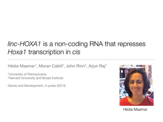 linc-HOXA1 is a non-coding RNA that represses
Hoxa1 transcription in cis
Hédia Maamar1, Moran Cabili2, John Rinn2, Arjun Raj1
1University of Pennsylvania
2Harvard University and Broad Institute
Genes and Development, in press (2013)
Hédia Maamar
 