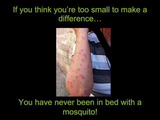 If you think you’re too small to make a difference… You have never been in bed with a mosquito! 