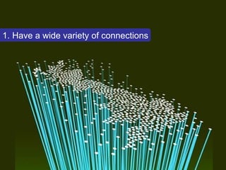 1. Have a wide variety of connections 