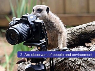2. Are observant of people and environment 