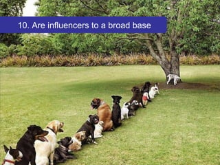 10. Are influencers to a broad base 