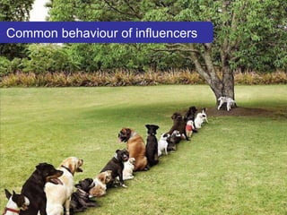 Common behaviour of influencers 