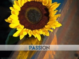 Images from me, Whitney Linck
Passion
 